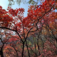 好好爱 (1) - 若溪(虚拟歌手)
