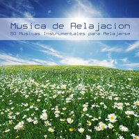 Noche de Paz - Musica de Relajación Academy