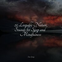 Rain in the Jungle - Pink Noise & Rain Sounds XLE Library & Sounds of Nature: Thunderstorm, Rain