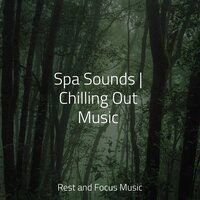 Breath of Life - Massagem & Sleep Waves & The White Noise Zen & Meditation Sound Lab