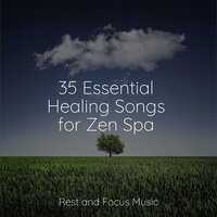 Pure Lullaby - Meditation Music Experience & Música para Relaxar Maestro & Ambientalism
