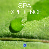 New Yoga Dreams - Pure Relaxing Spa Music