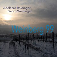 Wein 3 - Adelhard Roidinger & Georg Weidinger