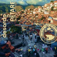 Látex - Desorden Público