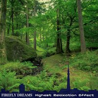 The Sensations of Peace - Firefly Dreams
