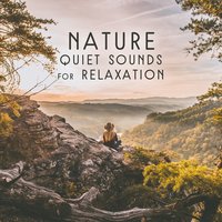Complete Tranquility - Beautiful Nature Music Paradise