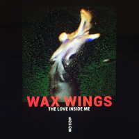 Strange Attraction - Wax Wings