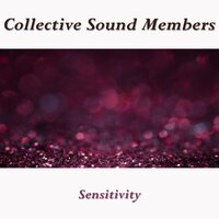 Sensitivity - Collective Sound Members