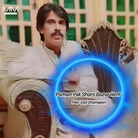 Pama Ha Dushmana Gardeen - Peer Dad Ghamgeen
