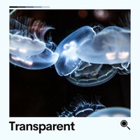Equate - Inspiring Tranquil Sounds