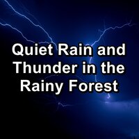 Soft Rain and Thunder For Spa and Relaxation Pure Sounds to Help Insomnia - Spa Relaxation & Spa Zen & Spa Music Relaxation