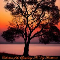 Symphony No. 3 in E-Flat Major, Op. 55: IV. Allegro molto - Wiener Philharmoniker & Felix Weingartner & Ludwig van Beethoven