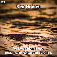 Sea Noises Pt. 70 - Sea Waves Sounds & Nature Sounds & Ocean Sounds