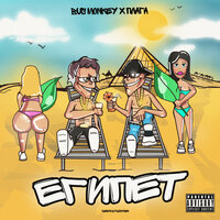 ЕГИПЕТ - Bus monkey & Плага