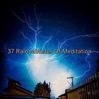 Tranquil Rain - Rain Man Sounds