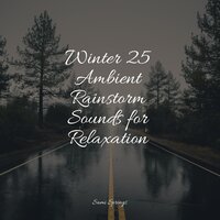 Rain Out Back - Study Power & Relaxing Sleep Sound & ZEN