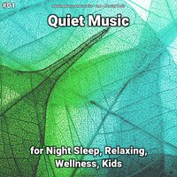 Quiet Music, Pt. 31 - Relaxing Music by Darius Alire & Yoga & Relaxing music