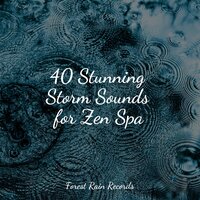 Rain on Pavement - Schlaflieder Relax & Childrens Music & 125 Nature Sounds