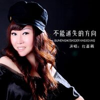 不能迷失的方向 - 红蔷薇