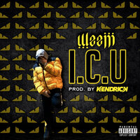 I.C.U - Weejii