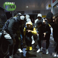Viva - Gambi