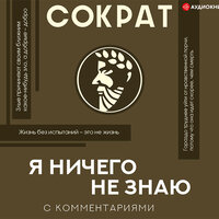 Сократ. «Я ничего не знаю». Часть 13 - Александр Аравушкин