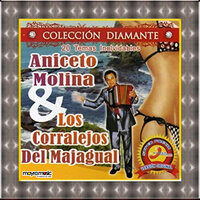 Los Sabanales - Los Corraleros de Majagual