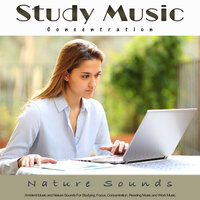 Piano Music For Studying with Forest Sounds - Studying Music & Study Music For Concentration & Study Music & Sounds