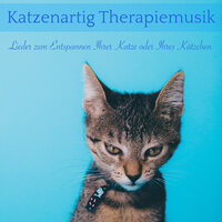 Wunderbares Gefühl - RelaxMyCat & Relax My Kitten & Cat Music Dreams & Pet Music Therapy