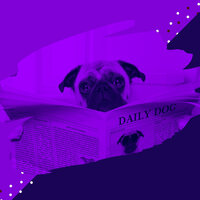 Simplistic Harps and Guitars - Vibe for Resting Pups - Music for Dogs Ambience