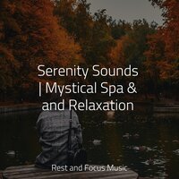 Space Ambient - Ambient Forest & Academia de Meditação Buddha & Spa Relaxation