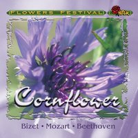 Copp?a Act I, No.1 Valse, Moderato - Saint Petersburg Radio & TV Symphony Orchestra & Лео Делиб