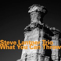 What You Can Throw - Steve Lantner & Joe Morris & Luther Gray & Steve Lantner Trio