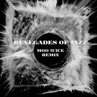 Moo Juice - Renegades Of Jazz
