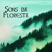 Flauta de Pan (Sonidos de la Naturaleza) - Sons da Natureza Relax