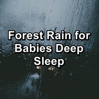 Gentle Rain in the Rainy Forest To Loop for 10 Hours - Binaural Beats Sleep & Sleep Music & Sleep