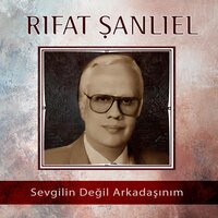 Sevgilin Değil Arkadaşınım - Rıfat Şanlıel
