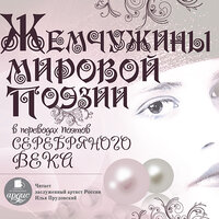 Жемчужины мировой поэзии в переводах поэтов Серебряного века. Часть 171 - Илья Прудовский