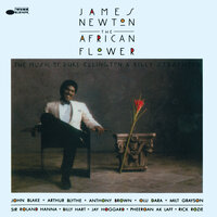 Cottontail - James Newton