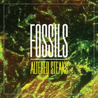 Lard Obstacle - Fossils