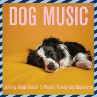 Windchimes - Dog Music Dreams & Relax My Dog