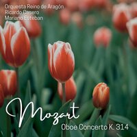 Oboe Concerto in C Major, K. 314: III. Rondò. Allegretto - Orquesta Reino de Aragón & Ricardo Casero & Mariano Esteban & Вольфганг Амадей Моцарт
