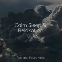 Sail the Calm Flow - Schlaflieder Für Kinder & Trouble Sleeping Music Universe & Deep Sleep Music Delta Binaural 432 Hz