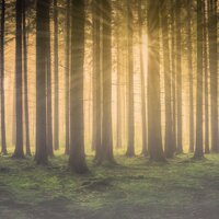 Heaven - Sleep Sound Library, Deep Sleep Music Collective, Spa & Spa & deep sleep music collective & Sleep Sound Library
