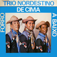Coisas da Bahia - Trio Nordestino