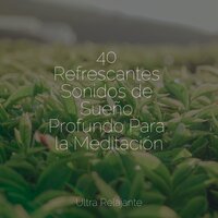 Viento Susurrante - Meditação Yoga Maestro & Musica Para Dormir & Ruido Blanco Para Bebes