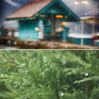 Majestic Backdrops for Rainy April - Work Music