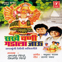 Ardhpeeth Shakti Tujhi Nyari - Anand Shinde