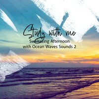 Sweltering Afternoon with Ocean Waves Sounds, Pt. 19 - Sebastian Riegl