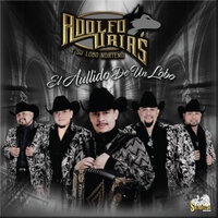Tu Divino Ser - Adolfo Urias y Su Lobo Norteño